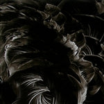 Black Transparent Enamel Fusemaster at www.happyglassartsupply.com