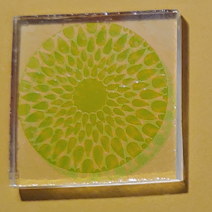 CBS Dichroic Pinwheel Laser Etched Large on Thin Clear Oceanside Compatible™ System 96® Lasered Dichroic Coe96 Coe 96 Happy Glass Art Supply www.HappyGlassArtSupply.com 046