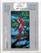 Carolyn Kyle Presents - Hungry Parrot 20 x 40 Inch Diameter - Full-Size Glass Art Patterns  Materials Needed List, This packet contains two identical patterns.  Use one as a pattern sheet to cut the glass pieces and the other as a layout sheet to build the window on. Step-By-Step detailed instructions  CKE-168 is the pattern number A terrific Glass Artist Gift Present Happy Glass Art Supply www.happyglassartsupply.com