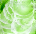 Lime Transparent Enamel Fusible glass paint at www.happyglassartsupply.com