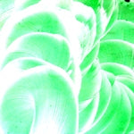 Emerald Transparent Enamel Fusible glass paint at www.happyglassartsupply.com