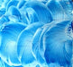 True Blue Transparent Enamel Fusible glass paint at www.happyglassartsupply.com 