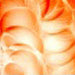 California Orange Transparent Enamel Fusemaster at www.happyglassartsupply.com