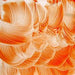 Florida Orange Transparent Enamel Fusible glass paint at www.happyglassartsupply.com