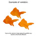 Goldfish Variations Water Jet PreCut System 96® Oceanside Compatible™ Waterjet Cut Fusible Glass Shape  Happy Glass Art Supply www.happyglassartsupply.com