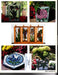 Garden Delights by Terra Full-Sized patterns for the garden.  Stepping stone, planter boxes, candle holders and so much more. A terrific Glass Artist Gift Present Happy Glass Art Supply www.happyglassartsupply.com